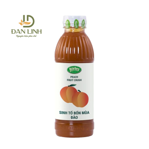 Sinh Tố Đào OSTERBERG 1L